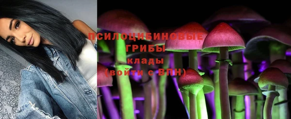 ALPHA PVP Дмитриев